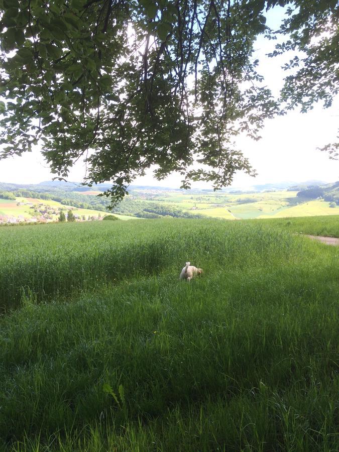 Pension Chesselberg Buckten Esterno foto