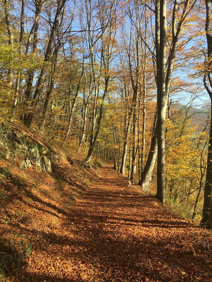 Pension Chesselberg Buckten Esterno foto