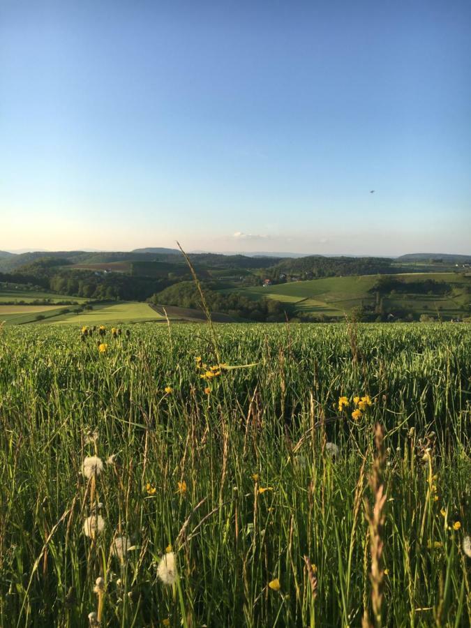 Pension Chesselberg Buckten Esterno foto