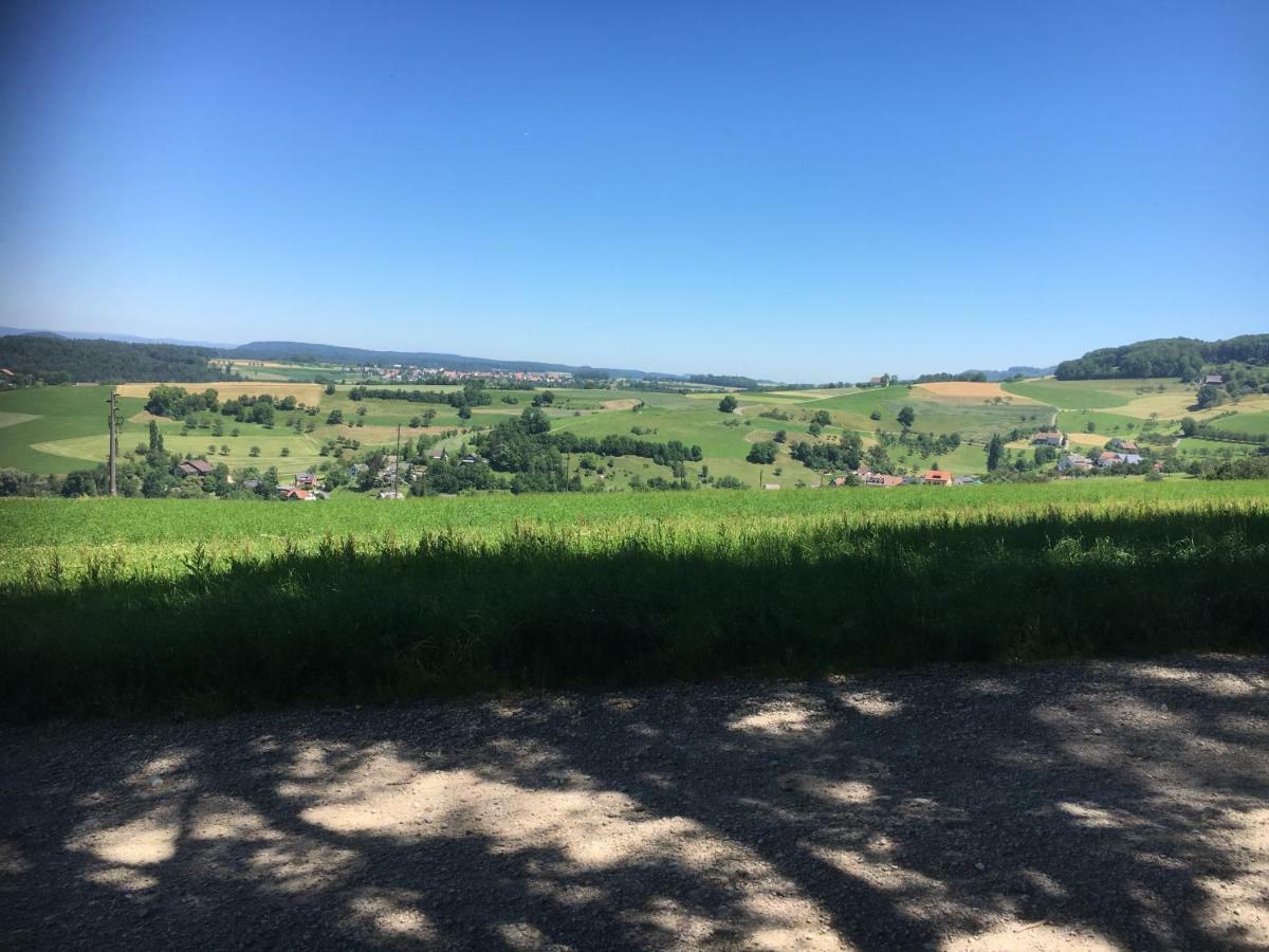 Pension Chesselberg Buckten Esterno foto